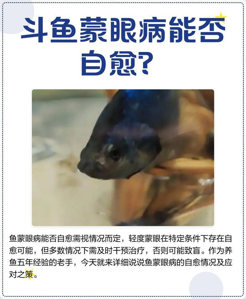 如何判斷魚蒙眼病的嚴重程度？