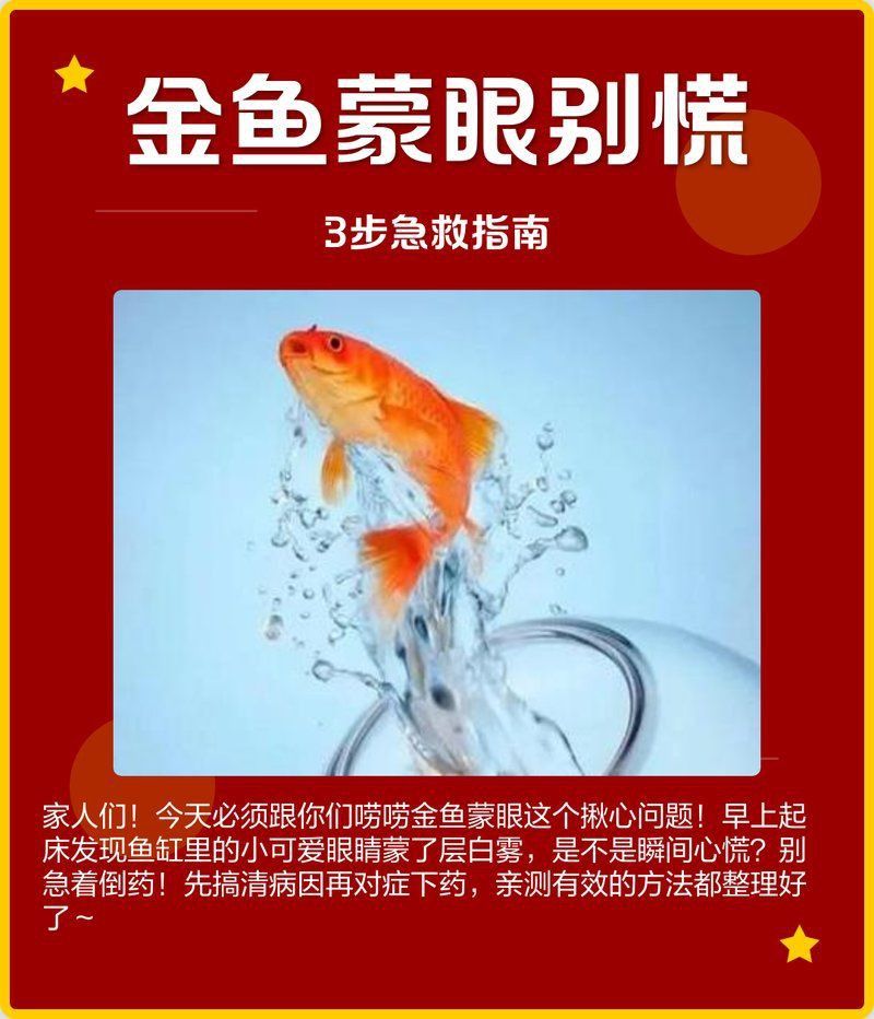 如何判斷魚蒙眼病的嚴重程度？