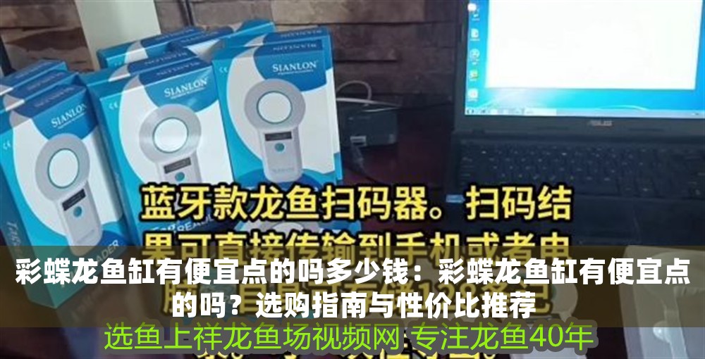 彩蝶龍魚缸有便宜點(diǎn)的嗎多少錢：彩蝶龍魚缸有便宜點(diǎn)的嗎？選購指南與性價(jià)比推薦