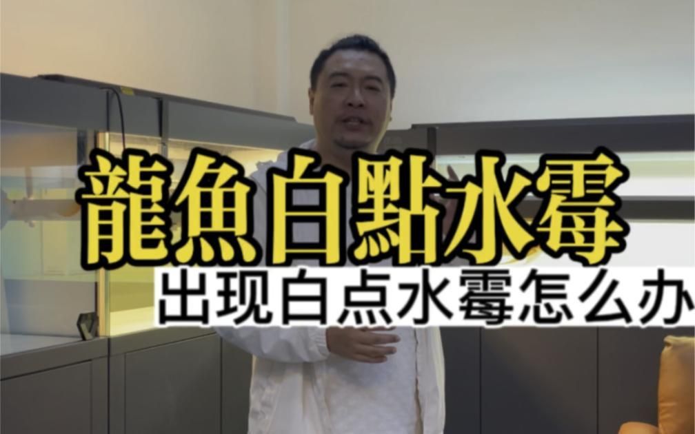 龍魚水霉病用什么藥最有效