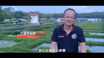 巴雷特龍魚多少錢：關于巴雷特龍魚價格的問題