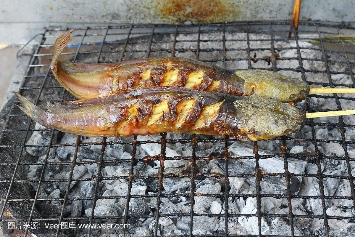 龍魚好不好養，為什么龍魚相對較難飼養，龍魚的飼養難度并不高，原因在這