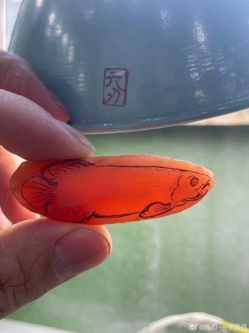 金龍魚圖案擺盤大全