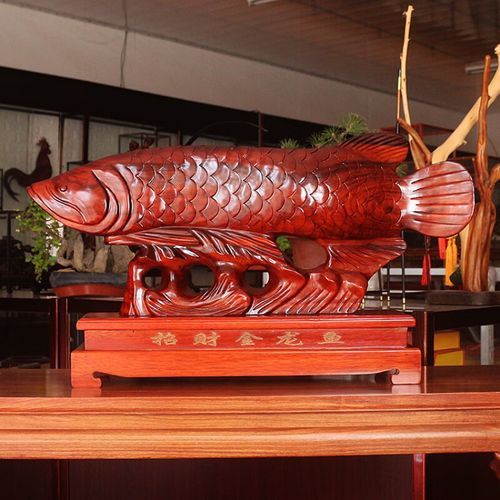 金龍魚圖案擺盤大全