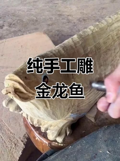 金龍魚圖案擺盤大全