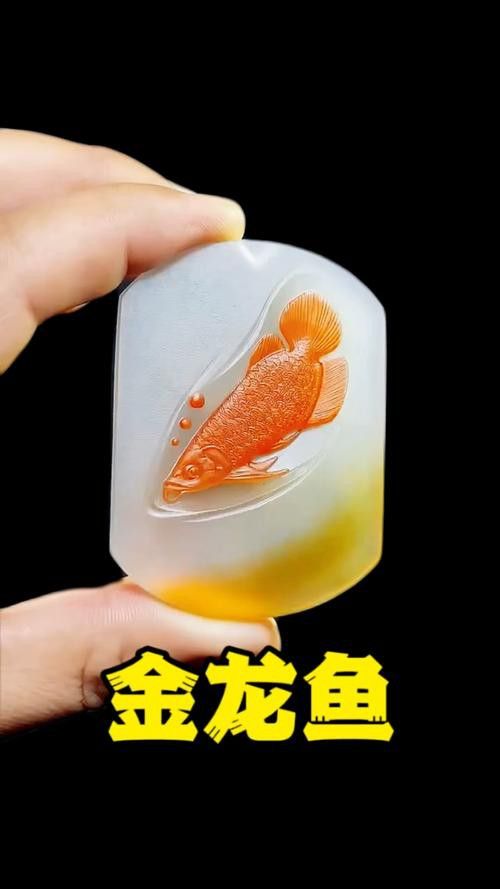 金龍魚圖案擺盤大全