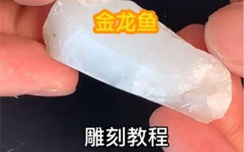 金龍魚圖案擺盤大全