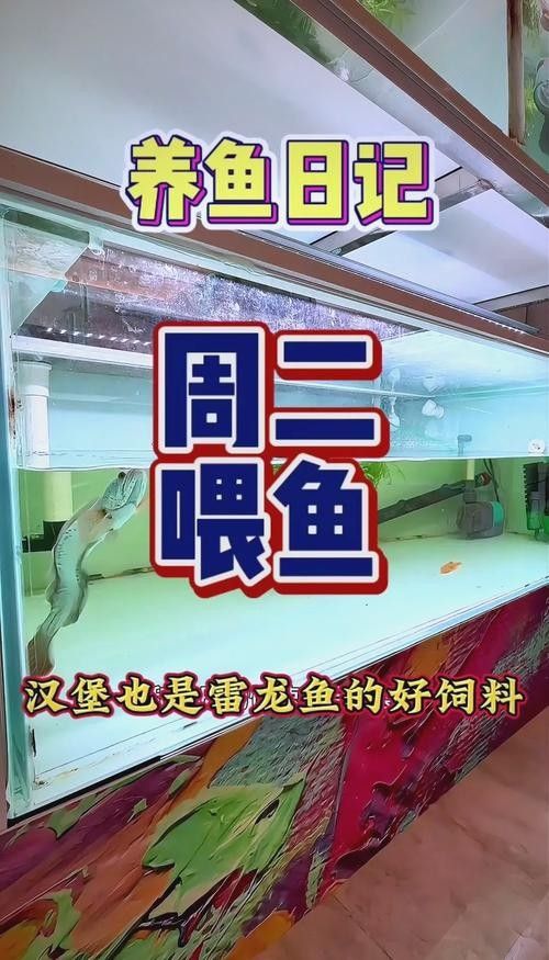 龍魚最喜歡吃什么食物圖片