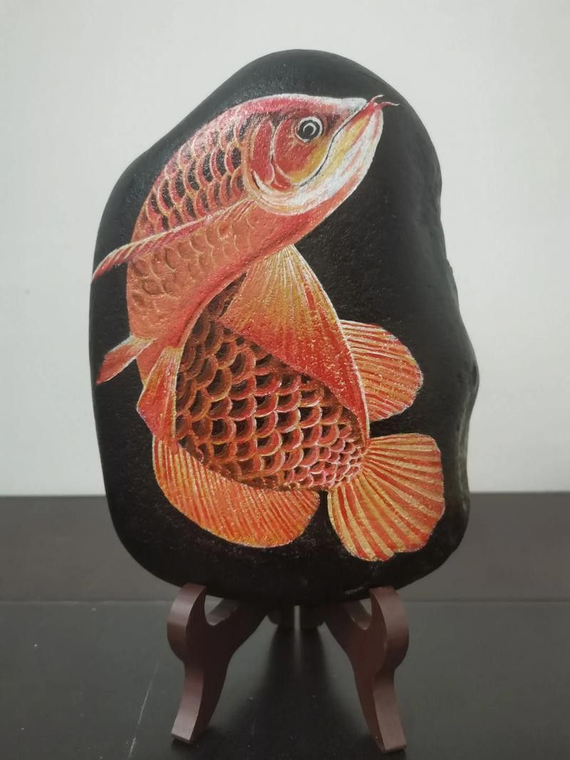 金龍魚手繪圖片高清