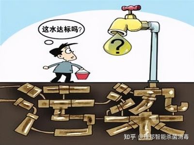 自來水要怎樣養水才能養龍魚？：養龍魚的注意事項
