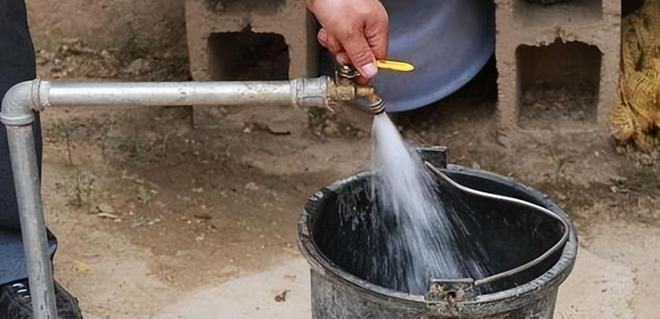 自來水要怎樣養水才能養龍魚？：養龍魚的注意事項