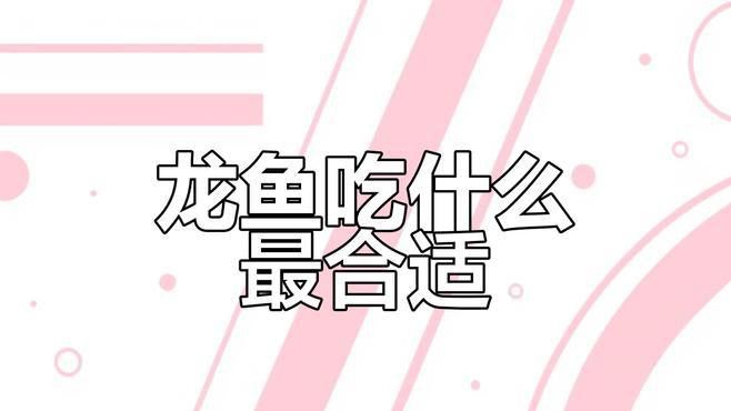 金龍魚吃什么長得快一點