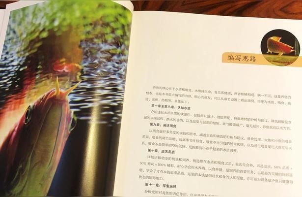 紅龍魚人工飼料品牌推薦：紅龍魚飼料品牌推薦