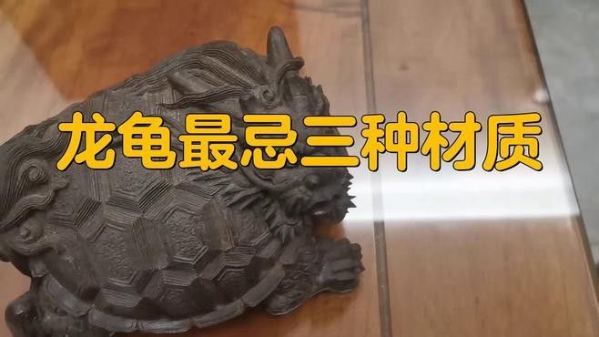 龍龜擺件如何定期維護？ 龍龜擺件如何定期維護？ 龍魚百科 第2張