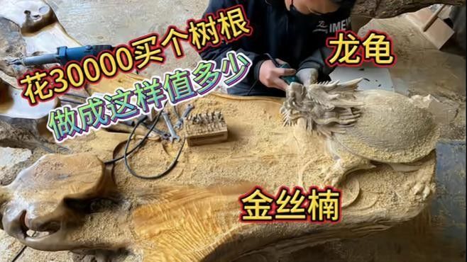 龍龜擺件如何定期維護？ 龍龜擺件如何定期維護？ 龍魚百科 第1張