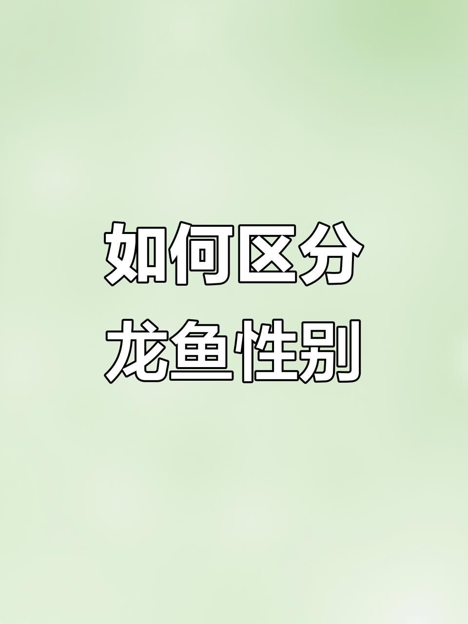 如何區分幼年龍魚的雌雄？