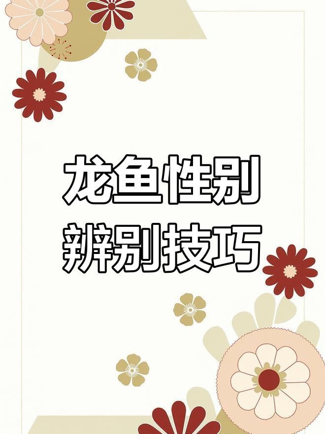 如何區分幼年龍魚的雌雄？