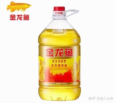 金龍魚來回上下游：金龍魚上下游動可能有多種原因，可能是身體出了問題
