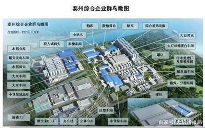 金龍魚來回上下游：金龍魚上下游動可能有多種原因，可能是身體出了問題