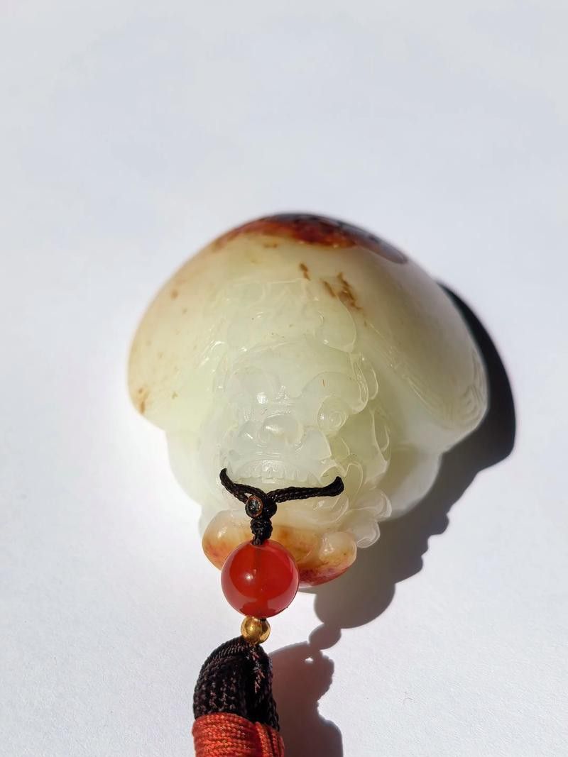 給我推薦一些性價比高的龍龜圖片