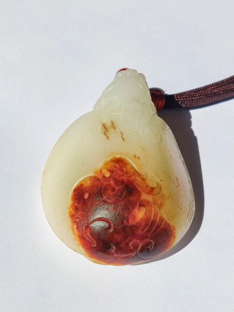 給我推薦一些性價比高的龍龜圖片