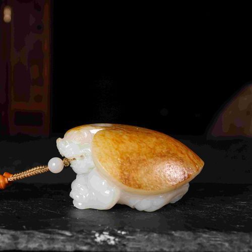 給我推薦一些性價比高的龍龜圖片