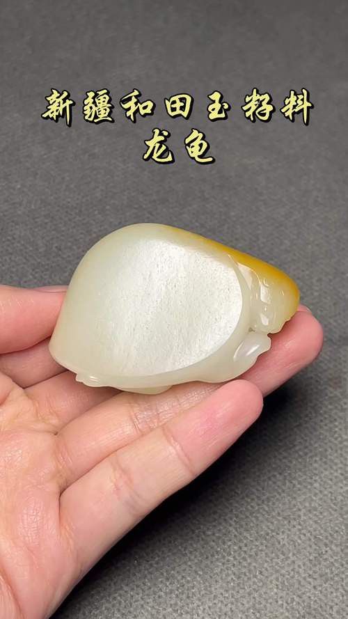 給我推薦一些性價比高的龍龜圖片