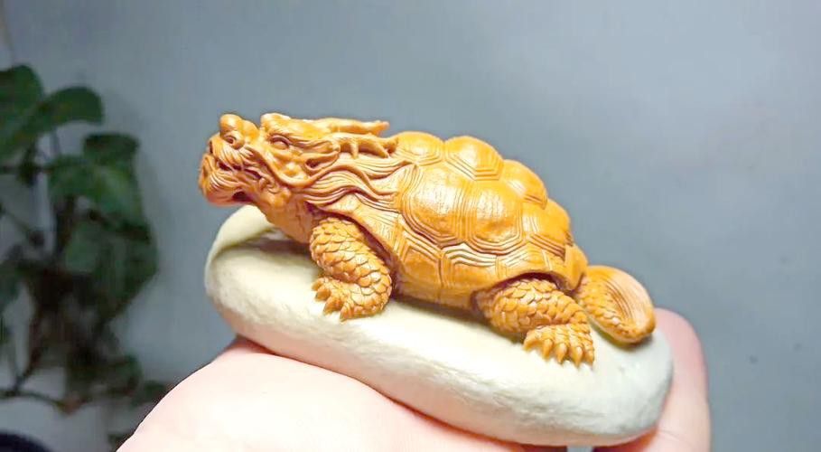 給我推薦一些性價比高的龍龜圖片