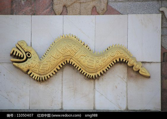 龍魚圖畫：金龍魚圖畫大全