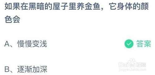 金魚喜歡開燈還是關燈