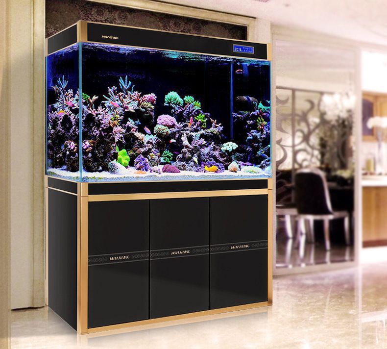 龍魚缸做南美魚缸的可行性分析（南美魚缸可以改造成南美魚缸，但需要注意以下幾點）