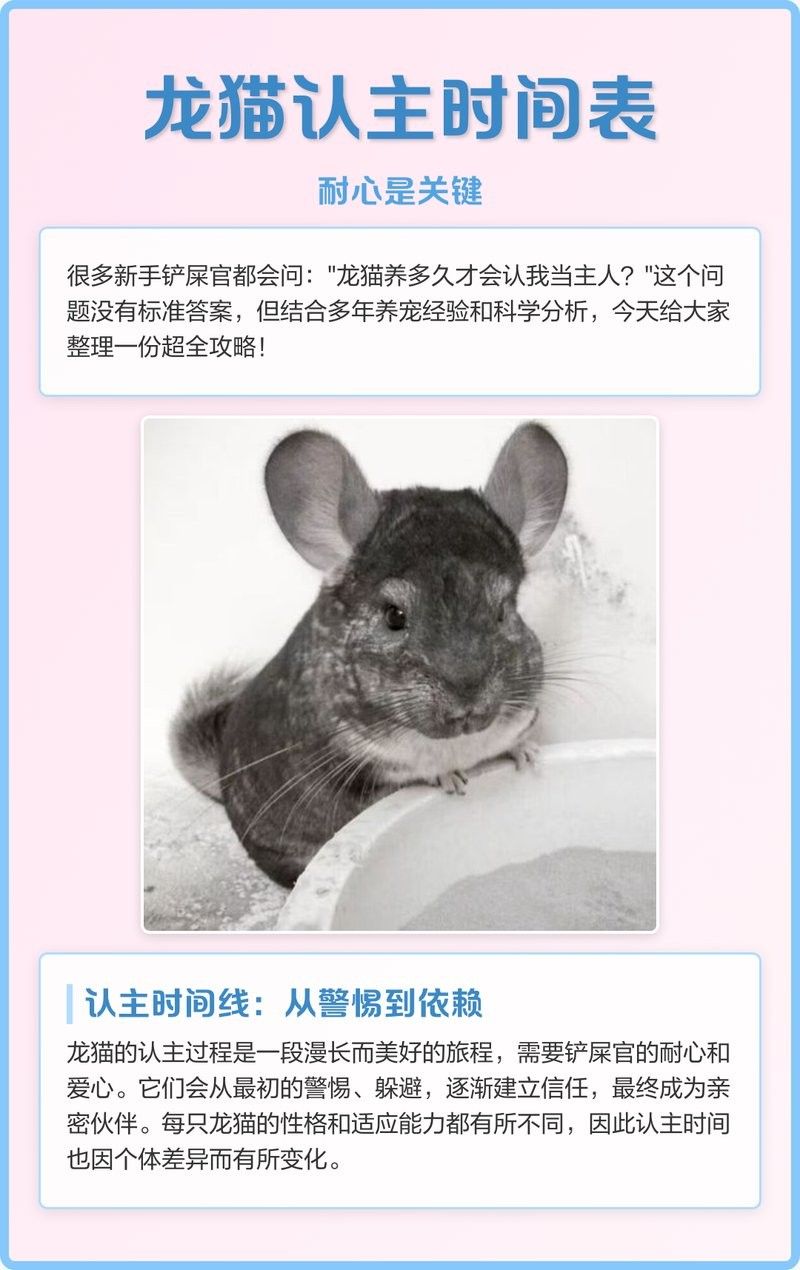 龍魚(yú)喂活餌需要多久一次？