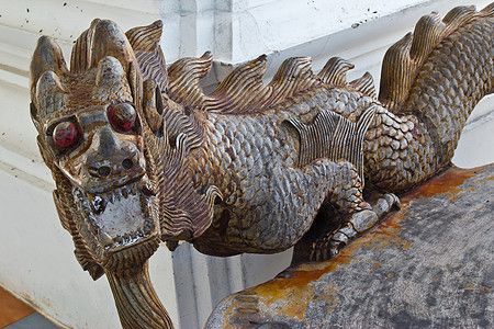 魚龍怎么喂食：魚龍的寓意是什么？