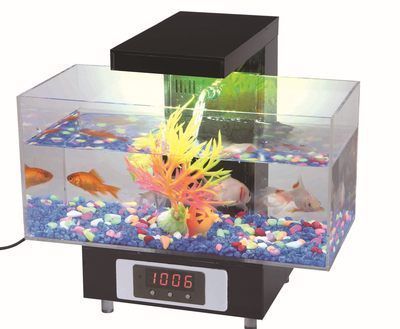 大白鯊魚批發：大白鯊魚的生態習性