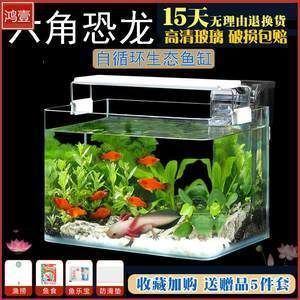 飼養龍魚用多大的缸好：飼養龍魚的魚缸尺寸應該根據龍魚的種類和年齡來確定