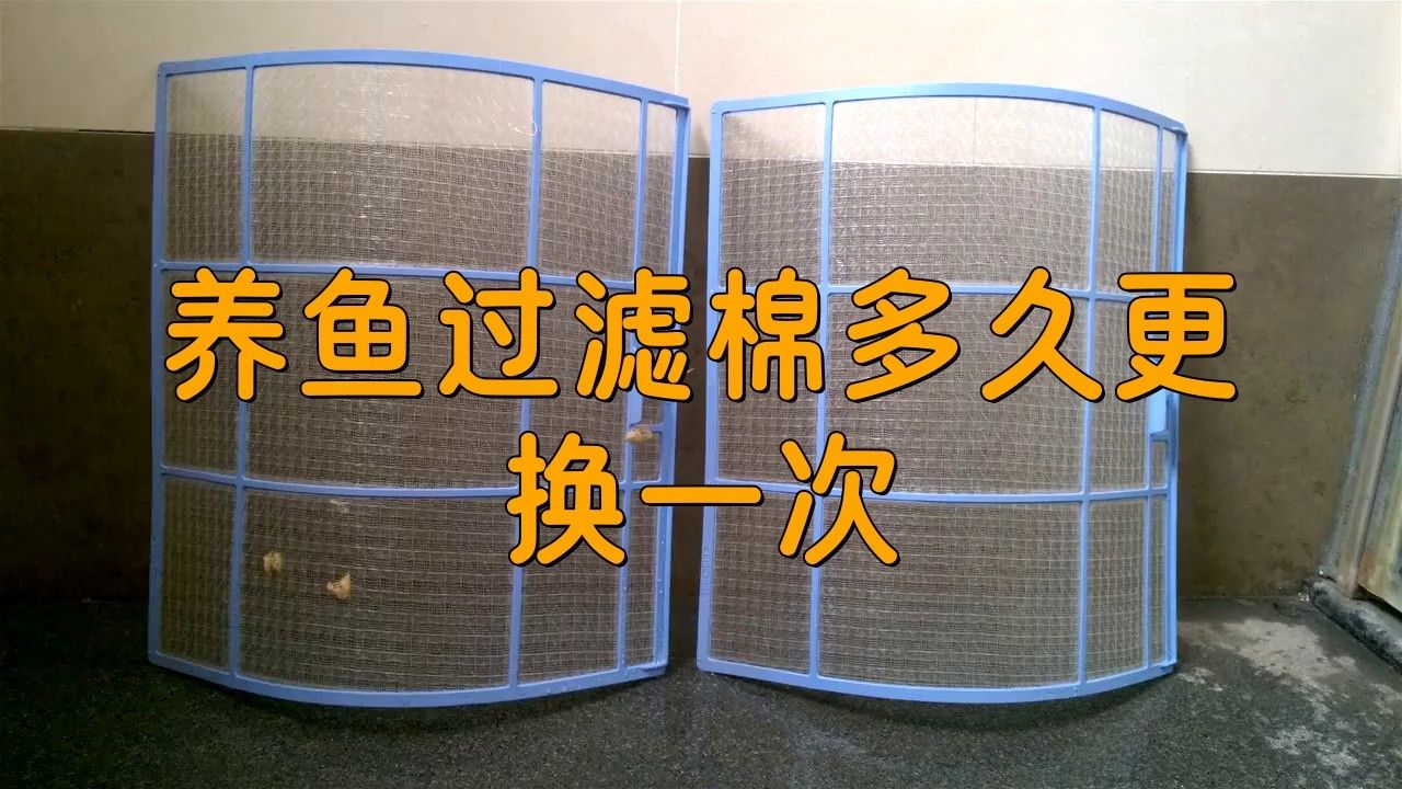 龍魚缸濾材多長時間更換好一點
