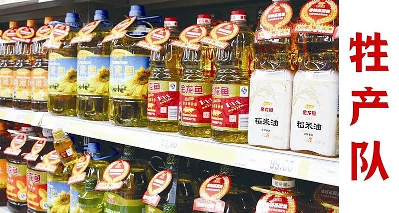 金龍魚來自哪個國家