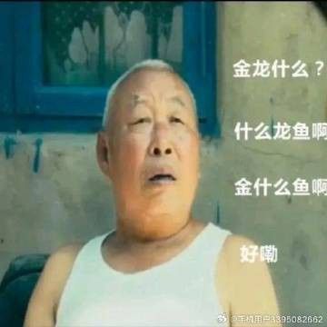 金龍魚來自哪個國家