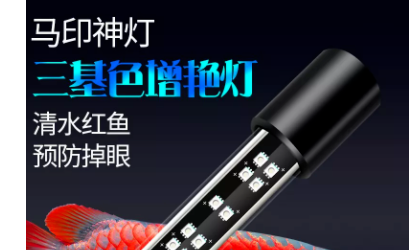 龍魚能吃水果嗎有毒嗎會死嗎