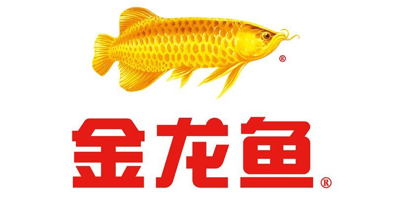 金龍魚簡化圖：金龍魚生活習(xí)性介紹