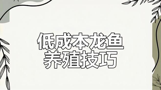 如何模擬龍魚的自然生態環境？