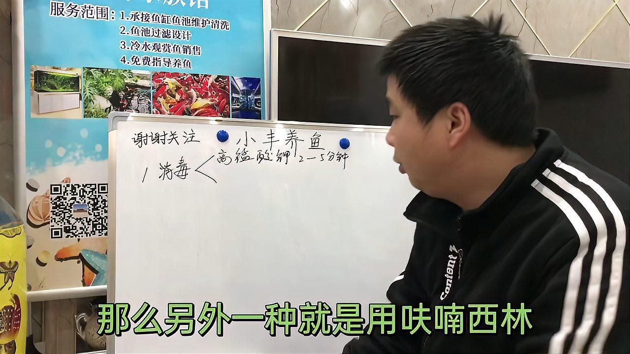 如何預(yù)防錦鯉魚爛尾病？