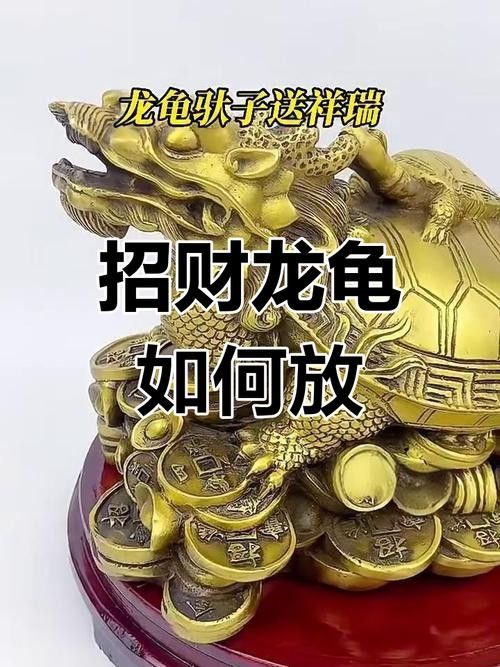 龍龜擺放位置有具體圖示嗎？