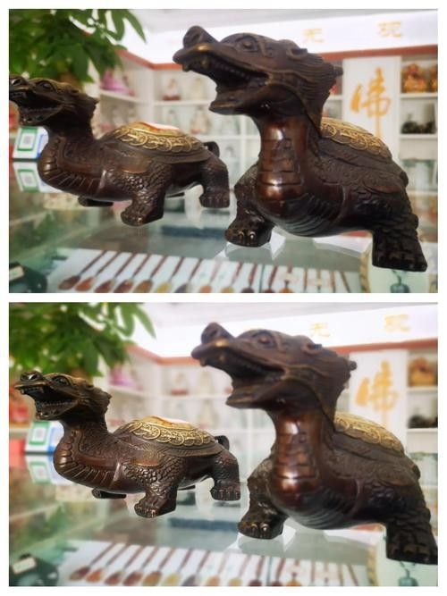 龍龜擺放位置有具體圖示嗎？