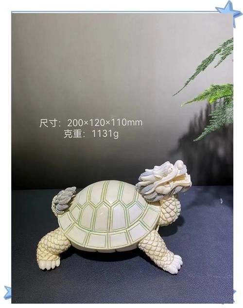 龍龜擺放位置有具體圖示嗎？