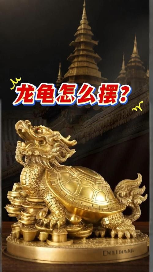 龍龜擺放位置有具體圖示嗎？