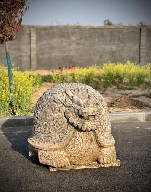 龍龜擺放位置有具體圖示嗎？