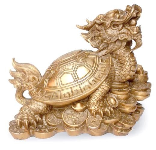 龍龜擺放位置有具體圖示嗎？