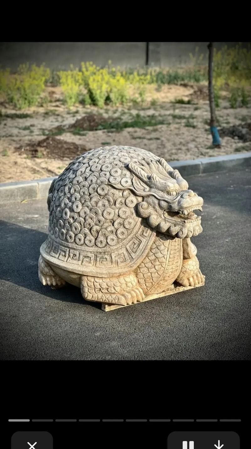 龍龜擺放位置有具體圖示嗎？