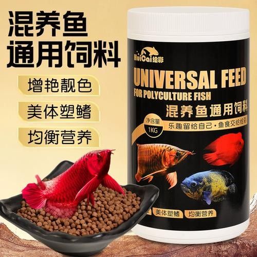 龍魚缸能養什么魚圖片